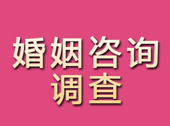 田阳婚姻咨询调查